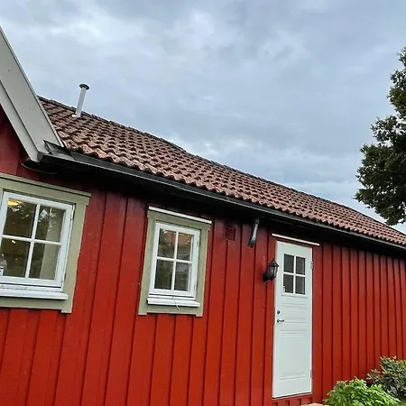 Apartament With Access To Garden, Central, Quiet And With Free Parking