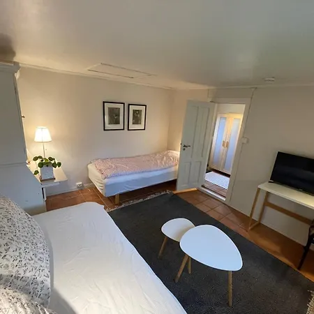 Apartament With Access To Garden, Central, Quiet And With Free Parking
